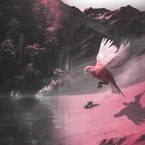 网赌平台老虎机